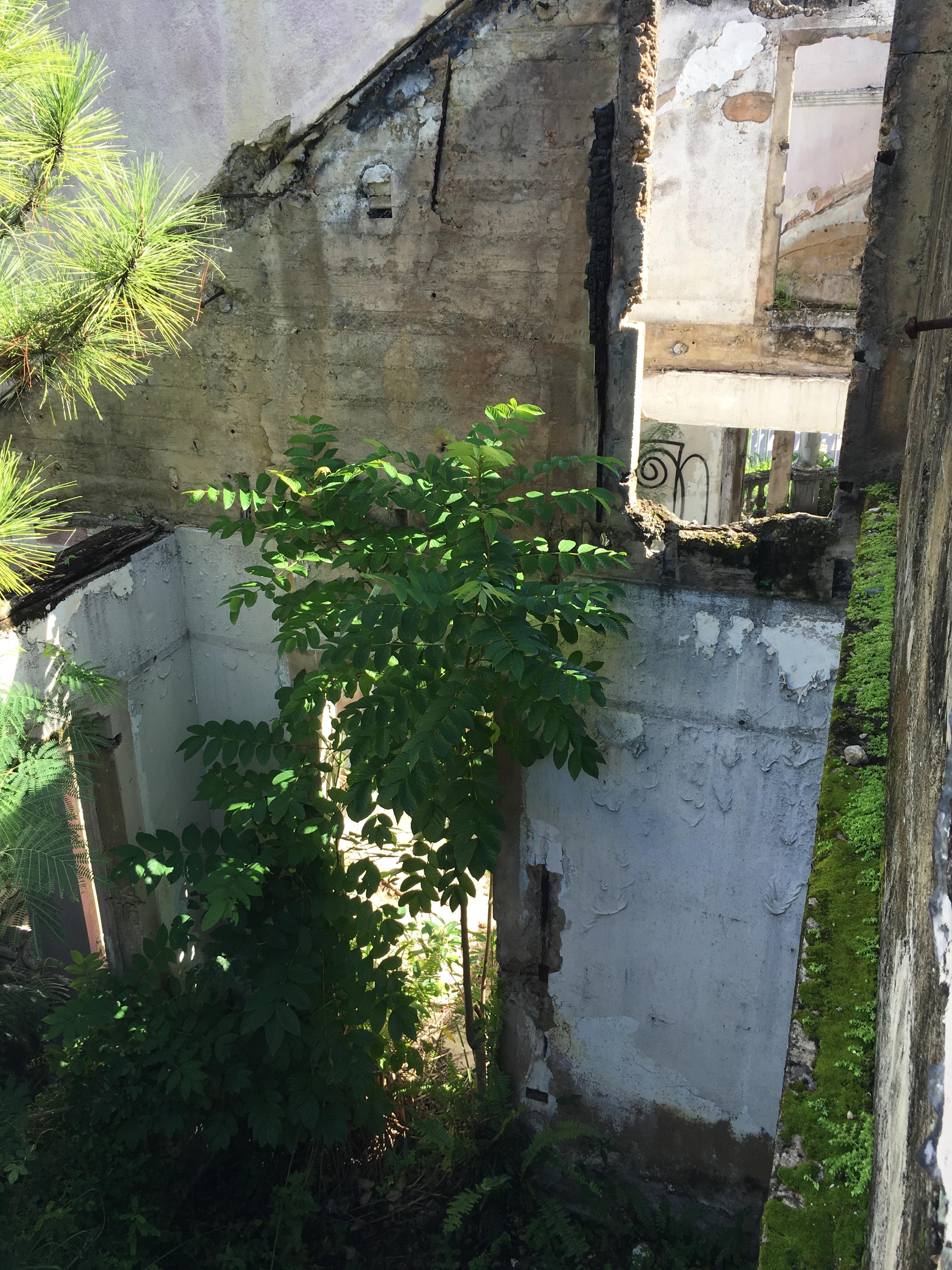 Castillo Villa del Mar - Naguabo - 2015 00121